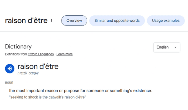 Why AuthPlat Exists ?